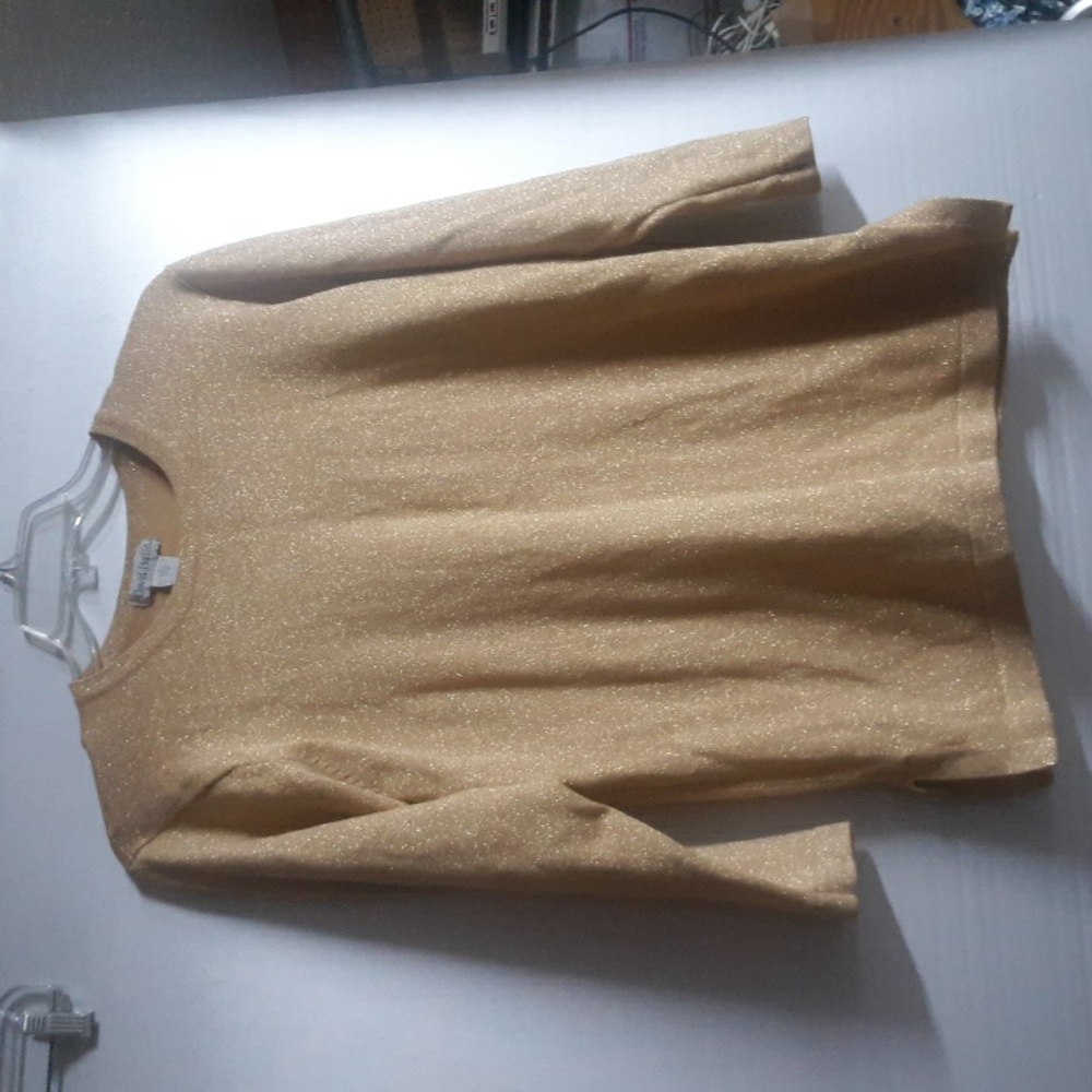 David Hollis Size M Gold Sparkly Top (SKU N76)